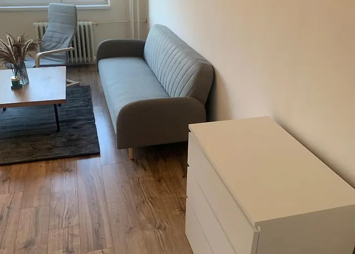 Your 11 With Parking 코시체